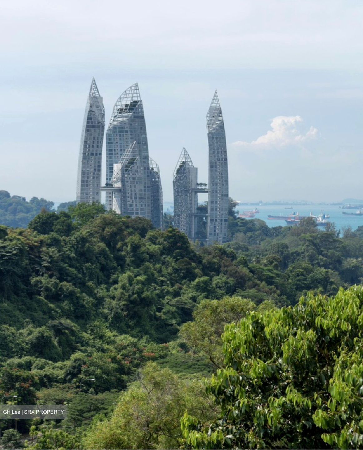 Reflections At Keppel Bay (D4), Condominium #589870061
